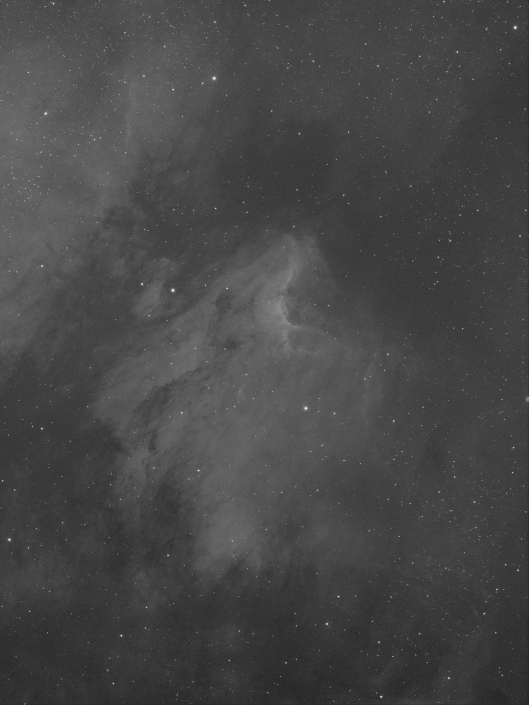 53134808738_c29cb253c9_6k