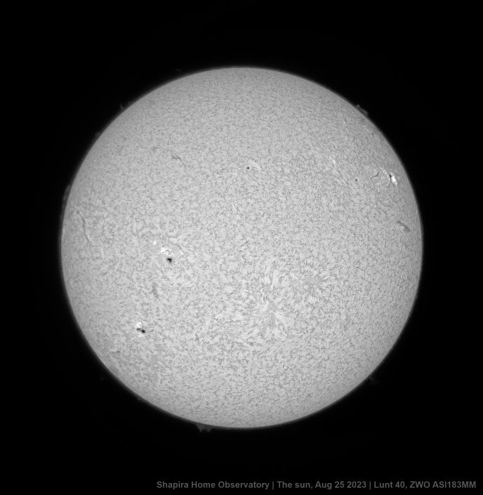 Full-Disk-bw-1