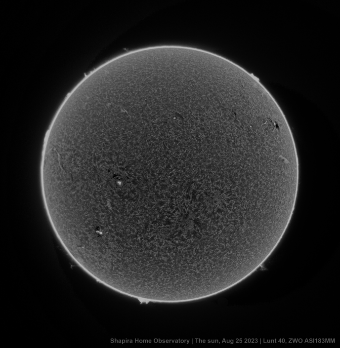 Full-Disk-bw-inv-2